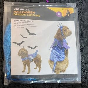 Vibrant Blue Dragon Costume for pets M
